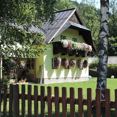 Birch House *
